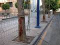 Un árbol con tronco roto y una valla metálica en un entorno urbano. La imagen muestra una calle con una valla de metal, árboles y un poste azul en el fondo.