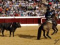 Un torero montado en un caballo negro enfrenta a un toro negro en una plaza de toros. El público, vestido con sombreros y camisas coloridas, observa la escena.