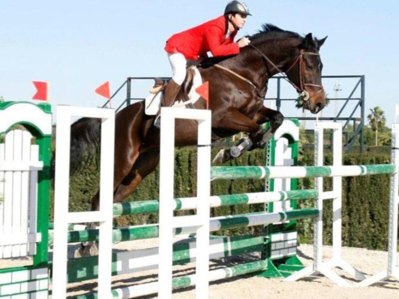 Un jinete en un traje rojo saltando sobre un caballo negro, que cruza una cerca de salto verde y blanca. El cielo es azul claro y hay árboles verdes en el fondo.