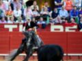 Un torero montado en un caballo negro corre hacia un toro negro en una plaza de toros. La audiencia observa el espectáculo desde los asientos alrededor del ruedo.