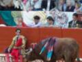 Un torero en traje tradicional se encuentra sentado, mientras un toro con adornos rojos y azules lo mira. La audiencia observa desde los palcos, algunos con mantones coloridos y otros en ropa casual. La imagen captura el ambiente de una corrida de toros, con detalles como las banderas y los asistentes en el fondo.