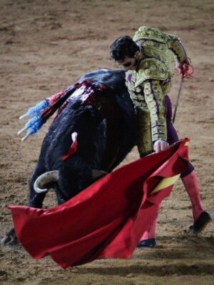 Juan José Padilla inicia una nueva temporada tras su grave cogida en la que perdió la vista de un ojo