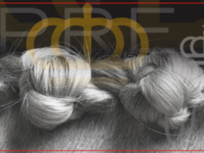 El Salón Internacional del Caballo (SICAB) ha renovado oficialmente su categoría de Feria Internacional en España para el año 2026,