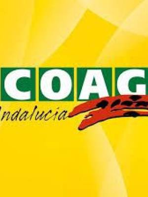 COAG Andalucía valora positivamente las ayudas de la Junta por las borrascas y destaca que recogen sus principales demandas