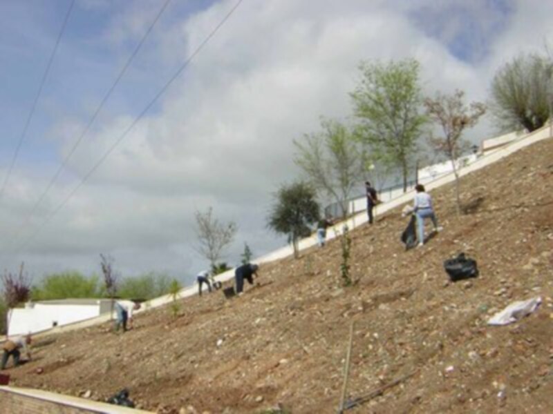 Gente trabajando en un terreno con árboles jóvenes y una cerca blanca en el fondo.