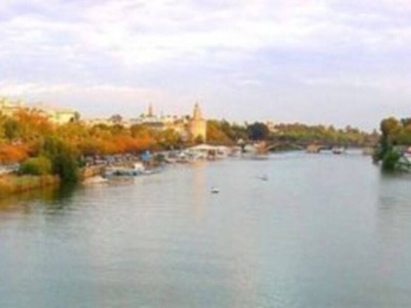 Puente de Triana en Sevilla, España. Imagen muestra el río Guadalquivir con barcos y edificios al fondo, típico paisaje de la ciudad.