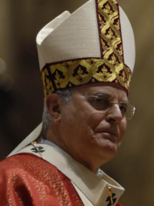 El cardenal lleva un manto rojo con bordados dorados, una mitra blanca y dorada, y gafas.