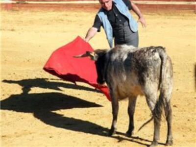 ORTEGA CANO y PEPE LUIS VAZQUEZ REGRESAN A LOS TOROS 