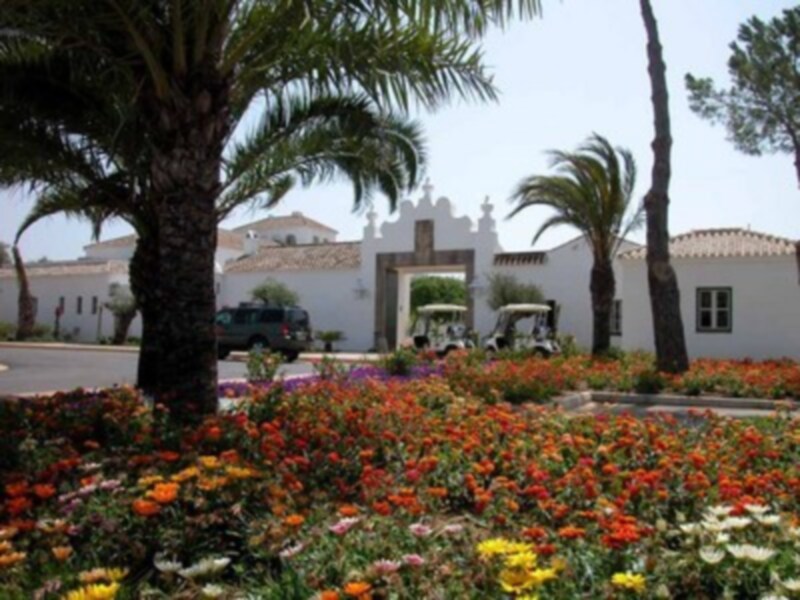 Un hermoso jardín con flores de colores vibrantes y una palmera en el centro. Al fondo, se puede ver una casa blanca con una entrada arqueada. El cielo es claro y el paisaje es tropical.