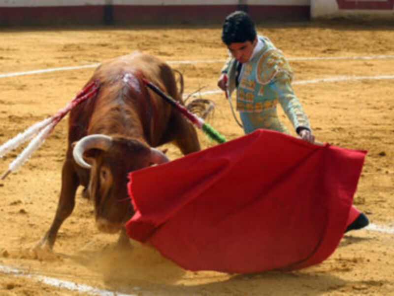 Un torero en acción durante una corrida de toros, usando un capote rojo para desviar al toro en el ruedo.