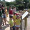 Un grupo de niños de Umbrete visita el Aula de la Naturaleza y el Parque Municipal de Gines 