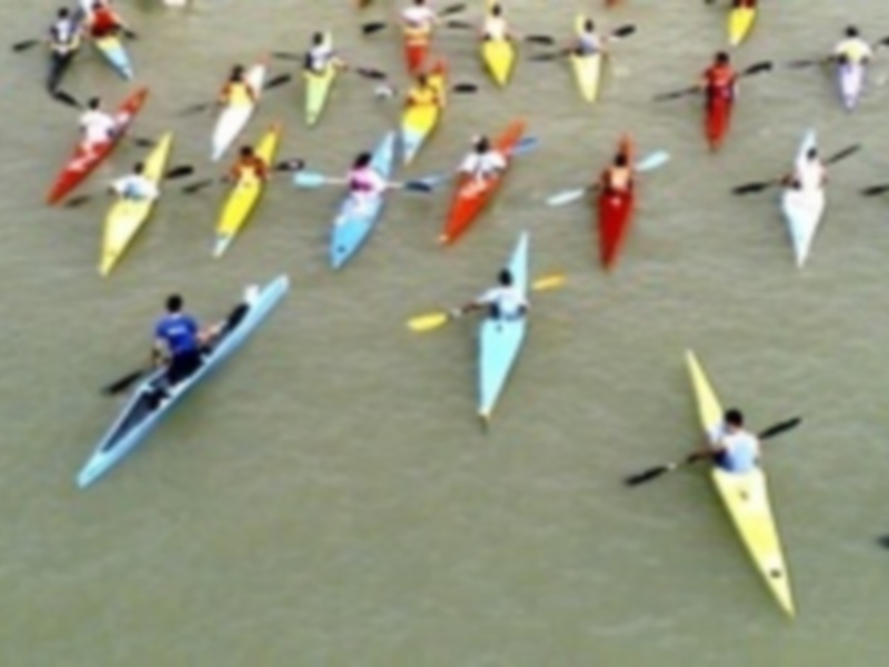 Una multitud de kayaks en colores variados navegando por un río.