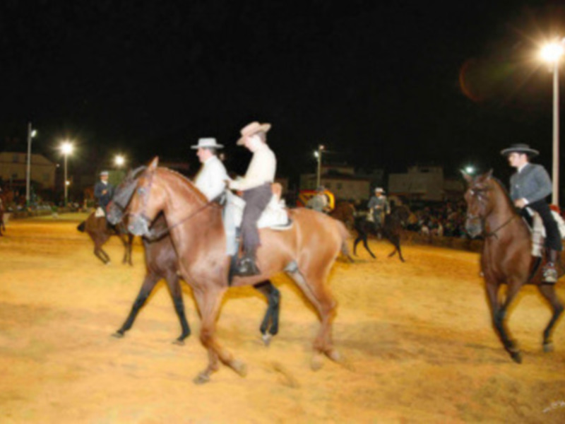 Equitación nocturna en un estadio iluminado. Caballos y jinetes en acción bajo la luz de las luces del estadio.