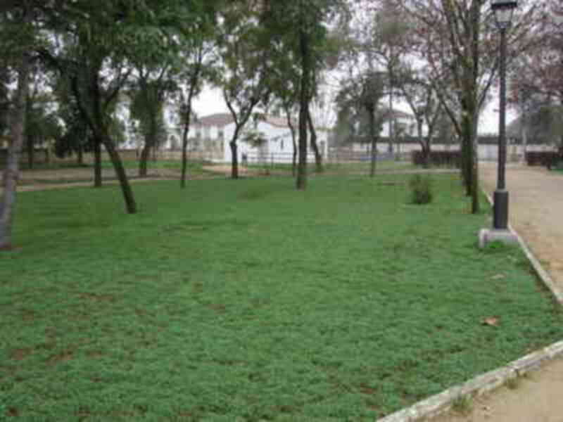 Jardín con césped verde, árboles y una farola en el fondo.