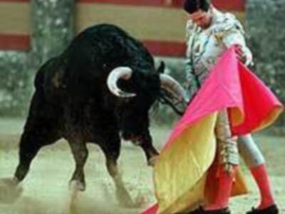 Espartaco celebrará sus 30 años de alternativa en Olivenza