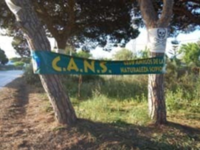 Un cartel verde con letras blancas anuncia "C.A.N.S. NATURERIES COPIE" colgado entre dos árboles en un camino de tierra.
