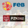 España luchará por las medallas tras arrollar a Polonia (84-55)