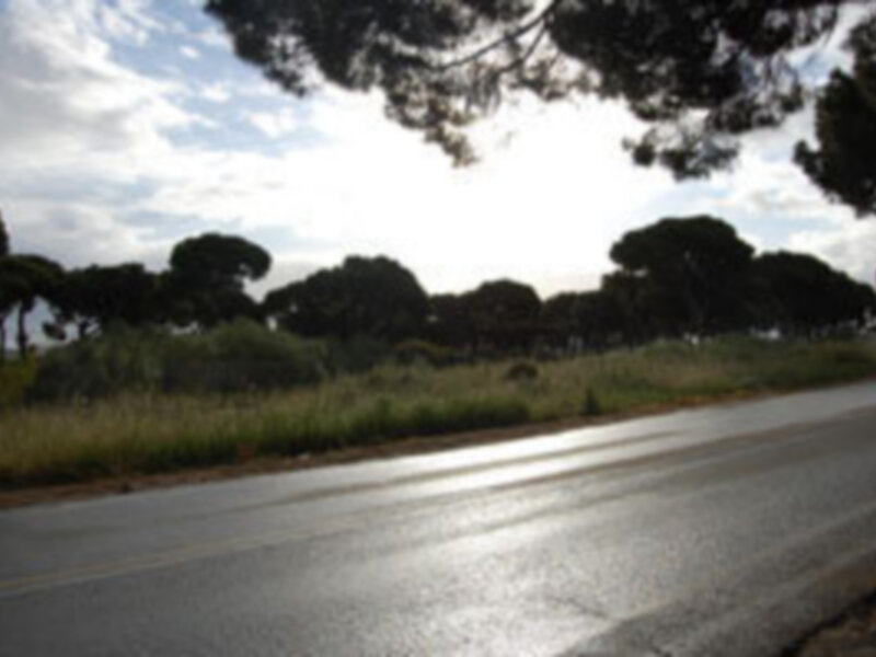 Carretera asfaltada que se extiende hacia la distancia, rodeada de vegetación y árboles en un paisaje rural.
