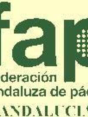 I premios Andalucía de Pádel: Decisión del Jurado