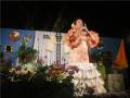 Una mujer en un vestido de flamenco con flores en la cabeza canta en un escenario iluminado por luces de noche.