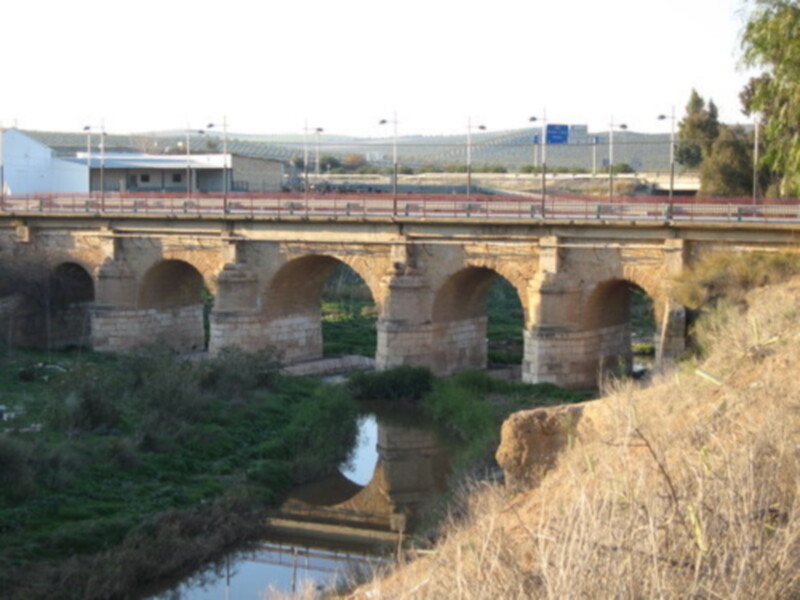 Puente de piedra sobre un río, con vegetación en el borde del río y un edificio en el fondo.