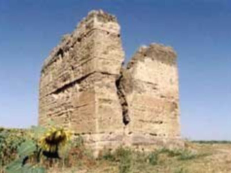 Ruinas de una antigua estructura en medio de un paisaje desértico, con cactus y vegetación en el fondo.