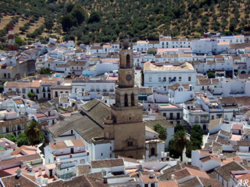 Constantina