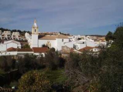 El Ronquillo 