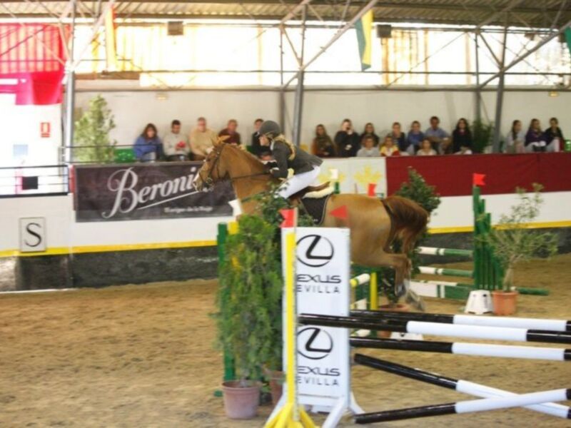 Un caballo saltando una cerca durante una competición ecuestre en un estadio interior.