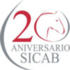 Como quiera que en  Noticias Cofrades del Sur tenemos corazón y late por las cosas importantes de Sevilla y este año, se celebra el 20 Aniversario de SICAB, abrimos una venta a SICAB 2010.