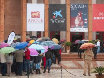 SICAB, 20 años más