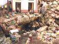 Un pequeño pueblo en miniatura con una casa blanca y roja, árboles y rocas. Personajes en la calle, un camión verde con animales alrededor.