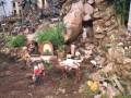 Escena de Natividad con figuras y animales en un entorno natural