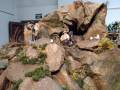 Un diorama con figuras de animales y personajes en una escena de montaña, incluyendo un hombre con sombrero y un animal en la cima.