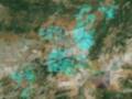 Imagen satelital que muestra una zona de bosque con áreas marcadas en verde.