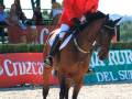 Un jinete en un traje rojo monta un caballo de color marrón en una pista de arena. El fondo muestra una barra verde con anuncios y un público observando la competencia.