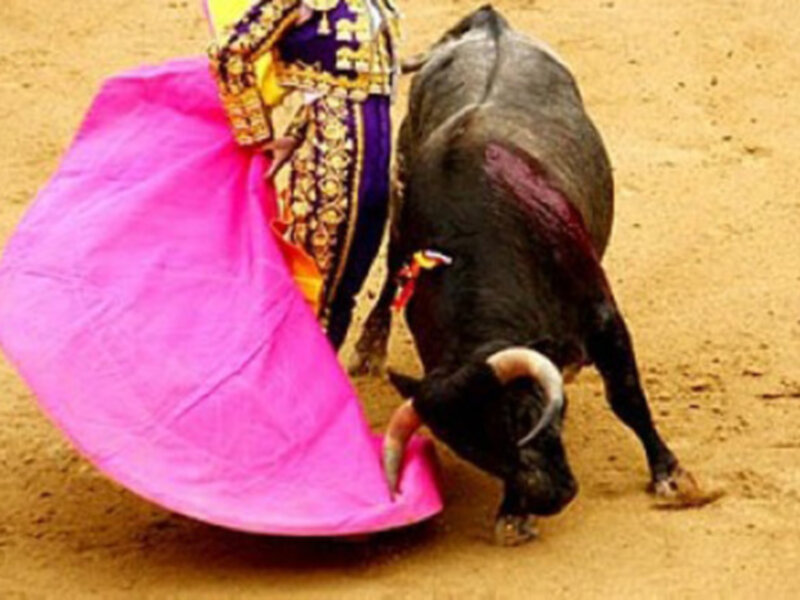 Un torero en traje de luces sostiene un capote mientras enfrenta a un toro en una plaza de toros.