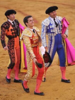 El Juli abrió la puerta del príncipe