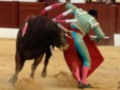 Un torero en acción durante una corrida de toros, mostrando destreza y habilidad en el manejo del toro.