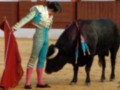 Un torero en traje de luces se prepara para enfrentarse a un toro en una plaza de toros.