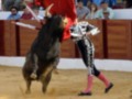 Un toro negro y musculoso está en acción, saltando hacia adelante con fuerza. Un torero, vestido con traje tradicional y sombrero de copa, lucha por mantenerse en pie mientras el animal se mueve furiosamente. La arena está cubierta de tierra y rodeada por una barda de madera, mientras el público observa la escena en silencio.