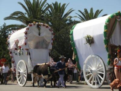 Rocío 2011, Salida de la hermandad de Triana de Sevilla.