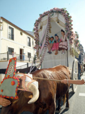 La Hermandad del Rocío de Triana, devuelta por la calle Real de Castilleja