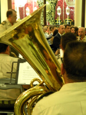 Galería del concierto de la Banda de Música de la Unidad de Apoyo del Cuartel General de la Fuerza Terrestre Soria 9