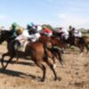 Espectáculo de primer nivel en las carreras de Pineda