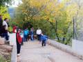 Un grupo de personas disfruta jugando petanca en un parque con árboles otoñales. La escena está rodeada de naturaleza y el clima parece ser fresco, indicando que podría ser otoño.