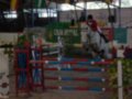 Un jinete monta un caballo blanco en una competencia de saltos, con obstáculos de color rojo y azul en el fondo.