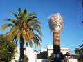 Un palmera con un objeto blanco envuelto en plástico sobre su tronco, rodeado de árboles y edificios en un día soleado.