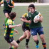 Regreso a la rutina en Regional Andaluza Sénior de rugby