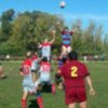 Cajasol Ciencias B, Campo de Gibraltar RC y Jaén RC, líderes al término de la primera vuelta en Regional Andaluza Sénior